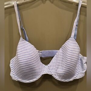 Gap Love Blue and White Striped t shirt Bra size 34C